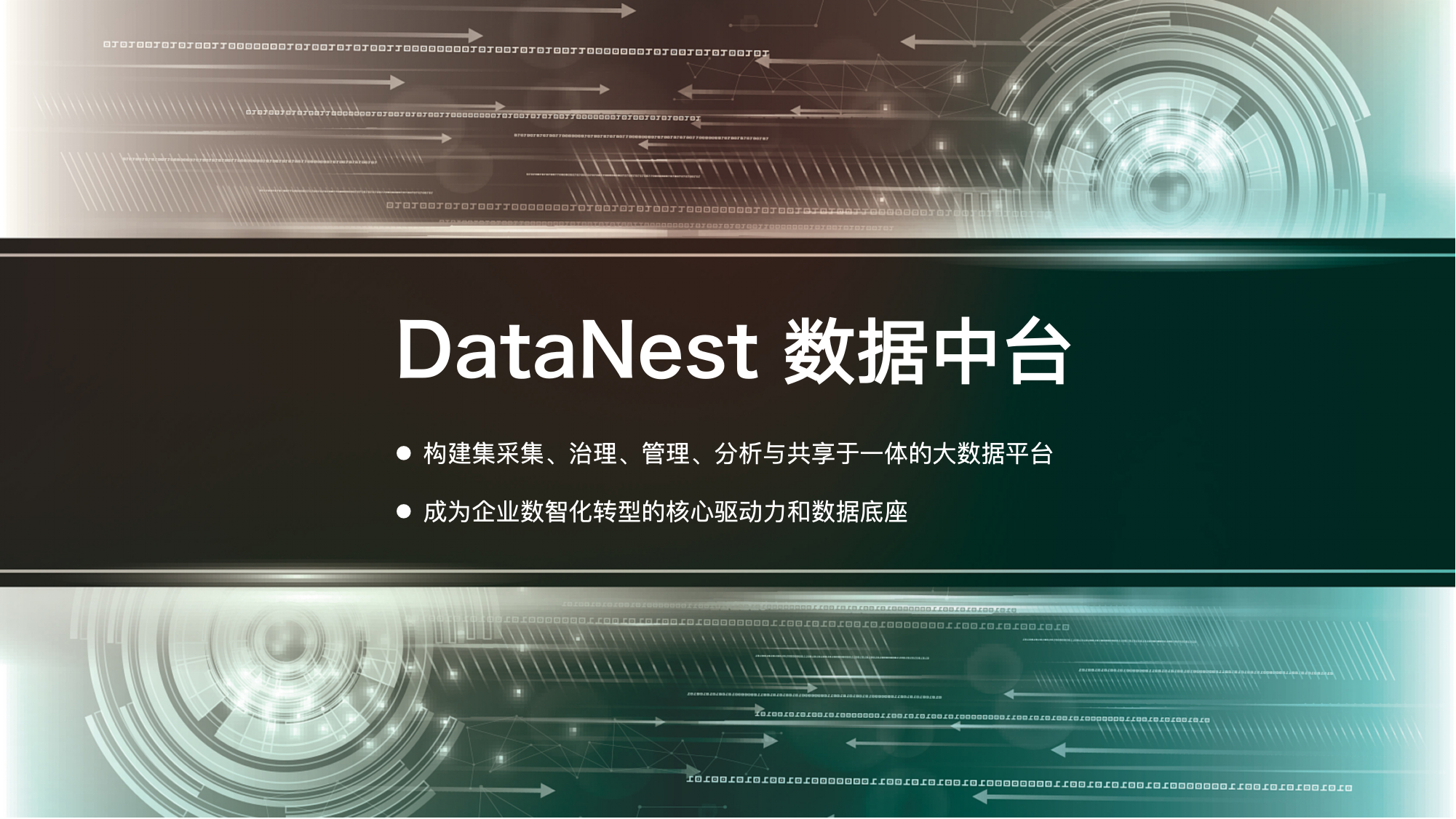 DataNest 数据中台